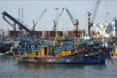 Foto de ilustración. (Fuente: VNA)