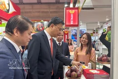 El embajador de Vietnam en Japón, Pham Quang Hieu, visita un stand que exhibe frutas vietnamitas. (Fuente: VNA)