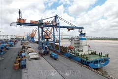 Foto de ilustración. (Fuente: VNA)