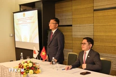 El viceprimer ministro Le Thanh Long habla en una reunión con la comunidad vietnamita en Kansai. (Foto: VNA)