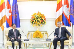 El miembro del Buró Político y miembro permanente del Secretariado del Comité Central del Partido Comunista de Vietnam (PCV), Tran Cam Tu, se reúne con el primer ministro camboyano, Hun Manet. (Fuente: VNA)