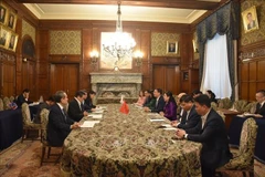 Panorama de la reunión entre Nguyen Thanh Hai, jefa de la Comisión de Asuntos de Diputados de la Asamblea Nacional de Vietnam, y el miembro de la Cámara de Representantes de Japón, Hamada Yasukazu. (Fuente: VNA)