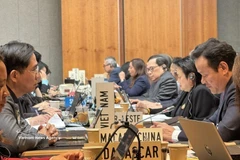 Representantes vietnamita en la reunión. (Fuente: VNA)