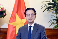 Do Hung Viet, viceministro de Relaciones Exteriores de Vietnam. (Fuente: VNA)