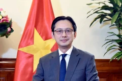 Do Hung Viet, viceministro de Relaciones Exteriores de Vietnam. (Fuente: VNA)
