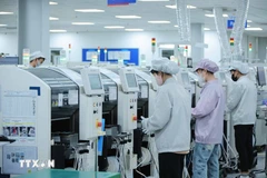 Empresas con inversión extranjera directa (IED) han invertido en muchos de los sistemas de maquinaria más modernos y avanzados. (Foto: VNA)