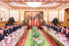 El encuentro entre el presidente vietnamita, Luong Cuong, y el secretario general del Partido Comunista y presidente de China, Xi Jinping. (Fuente: VNA)