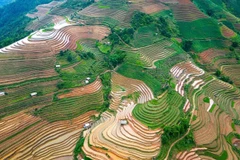 Mu Cang Chai ofrece paisajes únicos durante la temporada de riego 