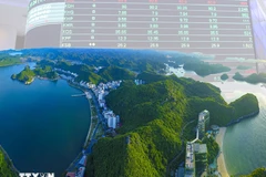 Vietnam necesita 28 mil millones de dólares para la transición verde hasta 2030