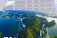 Vietnam necesita 28 mil millones de dólares para la transición verde hasta 2030