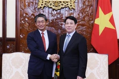 El presidente vietnamita, Luong Cuong, recibe a Ito Naoki, embajador de Japón en el país. (Fuente: VNA)