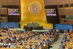 Un representante de la delegación vietnamita interviene en el acto de ratificación de la Convención de Hanoi, celebrado la tarde del 24 de diciembre de 2024 en las Naciones Unidas. (Foto: VNA)