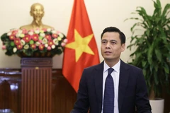 El viceministro de Relaciones Exteriores de Vietnam Dang Hoang Giang. (Fuente: VNA)