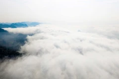 Turistas cazan nubes en la meseta de Moc Chau 