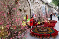 Localidades vietnamitas celebran diversas actividades culturales y artísticas durante el Tet. (Fuente: VNA)