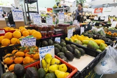 Las personas compran productos en un mercado de Ontario, Canadá. (Foto: Xinhua/VNA)