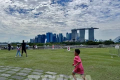 Foto de ilustración. (Fuente: VNA)