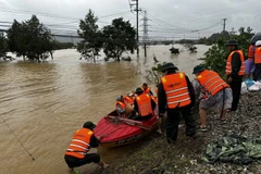 Fuerzas competentes en da Nang realizan tareas de rescate. (Foto: VNA)
