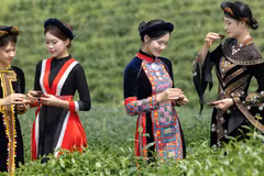 El evento contribuye a promover la cultura del té y a honrar sus valores tradicionales que han estado estrechamente ligados a la vida de la población local durante generaciones. (Foto: nhandan.vn)