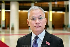 El subjefe de la Comisión de Defensa, Seguridad y Asuntos Exteriores de la Asamblea Nacional, Don Tuan Phong. (Fuente: VNA)