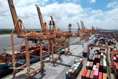 Exportaciones agroforestales y acuáticas de Vietnam registran un fuerte avance en primeros cinco meses