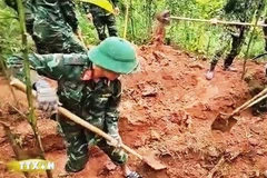 Los restos fueron encontrados en la zona forestal de melaleuca perteneciente a una familia en la aldea de Trai Ca, comuna de Dakrong, provincia de Quang Tri. (Fuente: VNA)