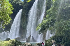 La belleza de la cascada Ban Gioc en la provincia norvietnamita de Cao Bang. (Fuente:VNA)