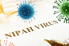 Foto de ilustración. (Fuente: suckhoedoisong.vn)