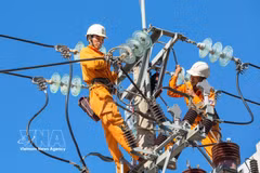 Inspección y reparación de líneas eléctricas para garantizar un suministro eléctrico seguro y continuo en las provincias centrales. (Foto: VNA)