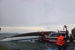 Fuerzas competentes realizan tareas de búsqueda y rescate. (Fuente: VNA)