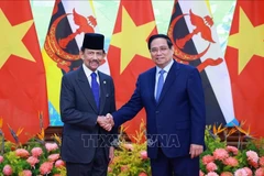 El primer ministro vietnamita, Pham Minh Chinh, y el Sultán de Brunéi, Haji Hassanal Bolkiah. (Fuente: VNA)