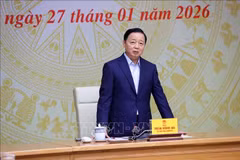 El viceprimer ministro de Vietnam y presidente del Comité Directivo Nacional contra la pesca ilegal, no declarada y no reglamentada (IUU), Tran Hong Ha, en el evento. (Fuente: VNA)
