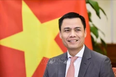 El viceministro de Relaciones Exteriores Dang Hoang Giang. (Fuente: VNA)