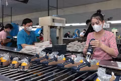 La empresa textil y química Ha Tay tiene numerosos pedidos de exportación a los mercados de Estados Unidos y Europa. (Foto: VNA)