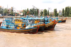 Barcos pesqueros anclados en el río Ca Ty, barrio de Phan Thiet, Lam Dong. (Fuente: VNA)