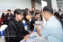 En el Día de reclutamiento y empleo de 2026, organizado por Centro de Servicios de Empleo Juvenil de Ciudad Ho Chi Minh. (Fuente: VNA)