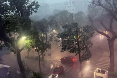 Las fuertes lluvias y tormentas eléctricas causadas por la tormenta n.º 3 provocaron la caída de numerosos árboles en las calles de Hanoi. (Foto: VNA)