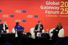 El viceprimer ministro vietnamita Bui Thanh Son en el evento. (Fuente: VNA)