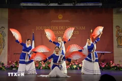 Una de las actuaciones artísticas en el evento. (Fuente: VNA)