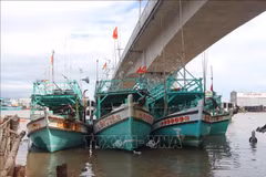 Barcos anclados en en la desembocadura del río Doc. (Fuente: VNA)
