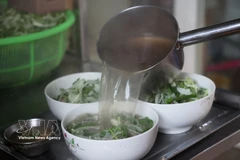 Foto de ilustración. (Fuente: VNA)