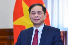 El vicepremier y canciller, Bui Thanh Son. (Fuente: VNA)
