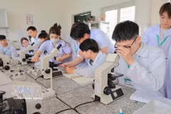 Estudiantes practican el examen y recuento de células sanguíneas para el diagnóstico clínico en el ganado utilizando un microscopio óptico. (Foto: VNA)