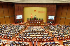 Panorama de la inauguración del décimo período de sesiones de la Asamblea Nacional de la XV Legislatura. (Fuente: VNA)