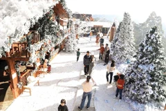 La navidad en la ciudad de Da Lat. (Fuente: baodautu.vn)