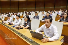 Delegados en el evento. (Fuente: VNA)