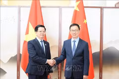 El viceprimer ministro vietnamita, Mai Van Chinh, se reunió con el subjefe del Estado chino Han Zheng. (Fuente: VNA)