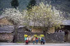 La belleza de la gente y el hermoso paisaje son lo que atrae a los turistas a Ha Giang. (Foto: VNA)