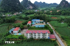 Inauguran ocho obras de educación y formación en conmemoración al 80.º aniversario de la Revolución de Agosto y del Día Nacional de Vietnam. (Fuente: VNA)