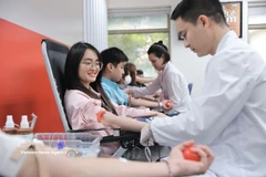 Foto de ilustración. (Fuente: VNA)